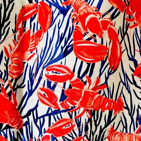 TALBOTS Vibrant Lobster Nautical Beach Boating Skirt | Size 12 | Preowned - Picture 5 of 8